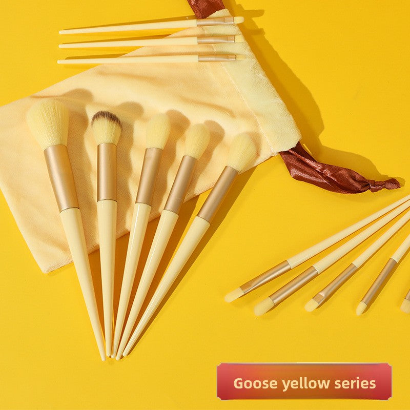 ProBrush Kit