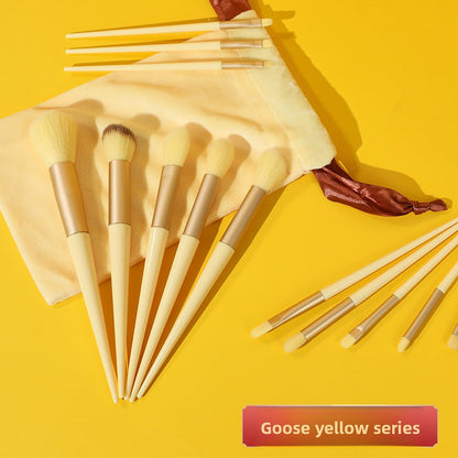 ProBrush Kit